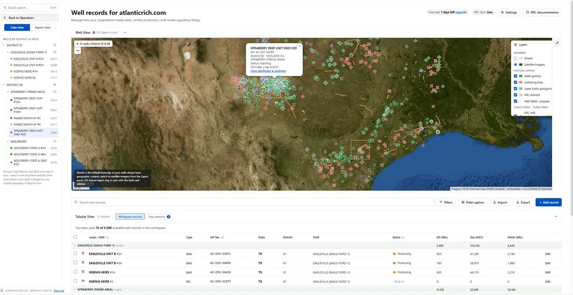 WellSite workspace: wells on satellite imagery with the synced records table